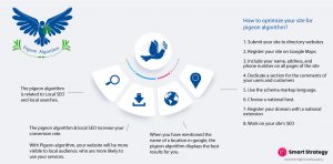 Infographics | SEO infographic | Pigeon Algorithm